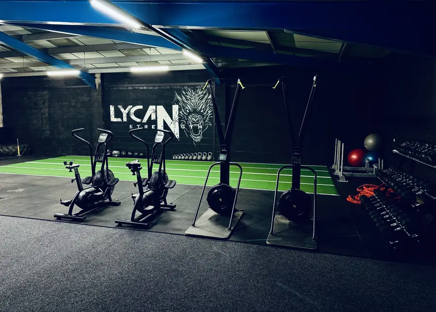 Air bikes lined up on the turf under the Lycan wall