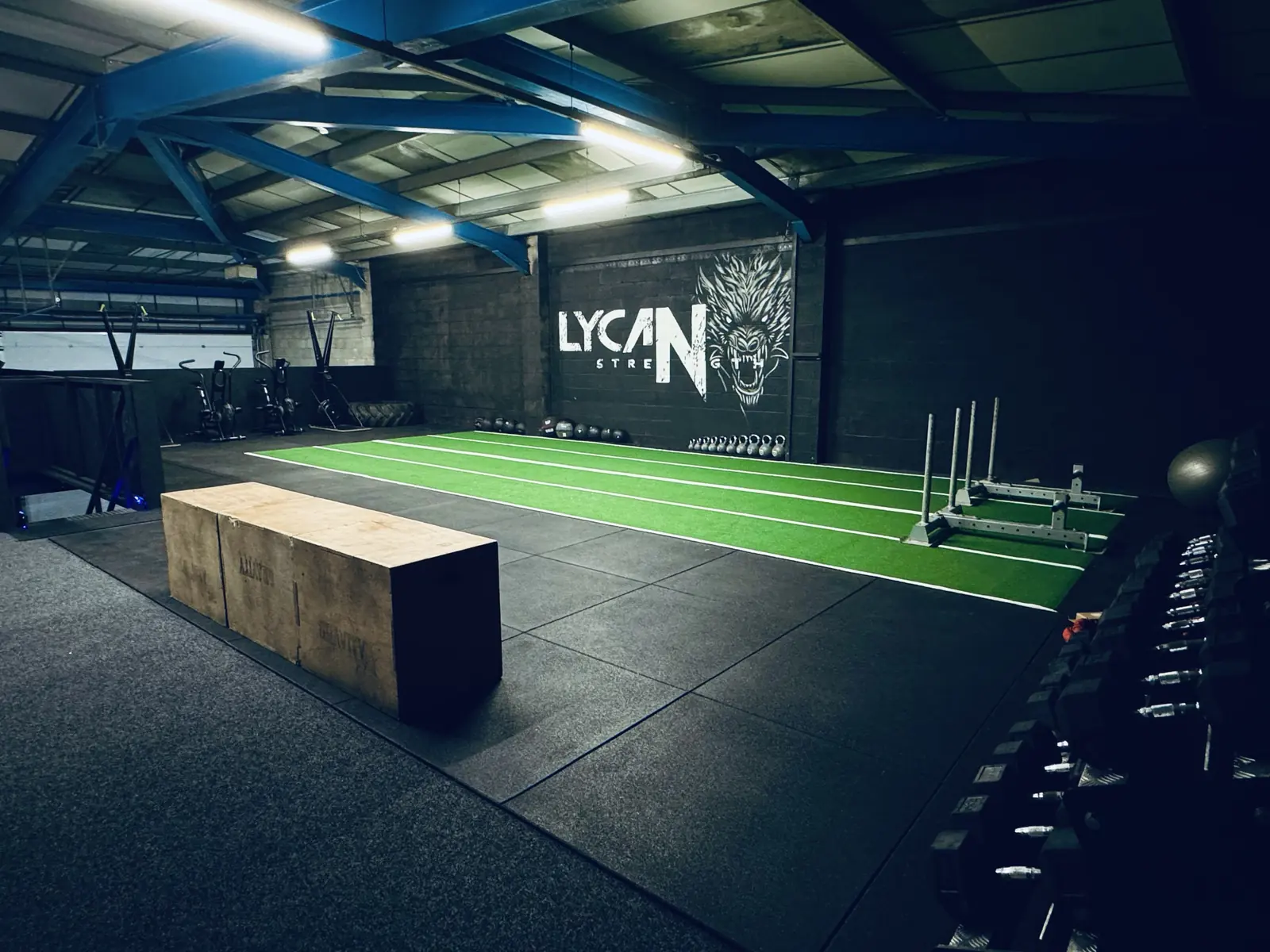 Plyo box on the black floor in front of the Lycan wall